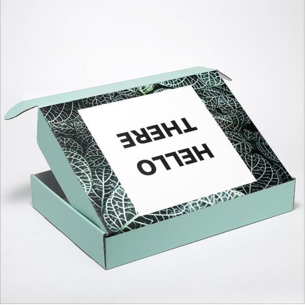Recyclable Eco Friendly Color Printing Corrugated Box Packaging Shipping Box