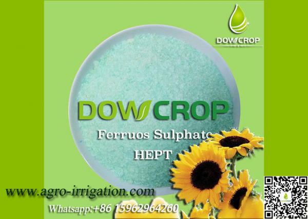 Cheap DOWCROP HIGH QUALITY 100% WATER SOLUBLE HEPT SULPHATE FERROUS 19.7% GREEN CRYSTAL MICRO NUTRIENTS FERTILIZER for sale