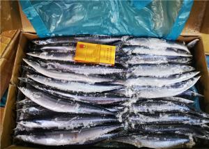 Quality High Protein 70g 90g #3 Fresh Pacific Saury For Bait Fish wholesale