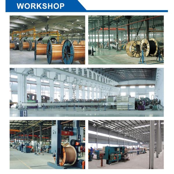 Unshielded Fire Resistant Cable and Alarm Wire Cable 0.6/1kv 10X0.5mm2