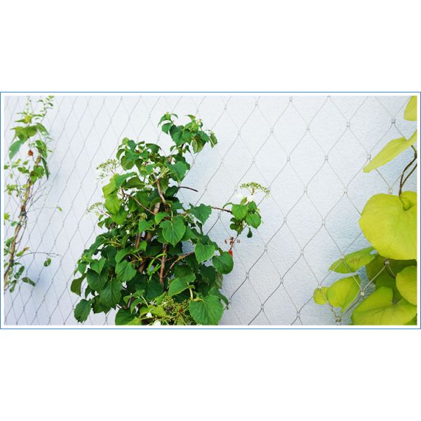 Flexible stainless steel cable netting