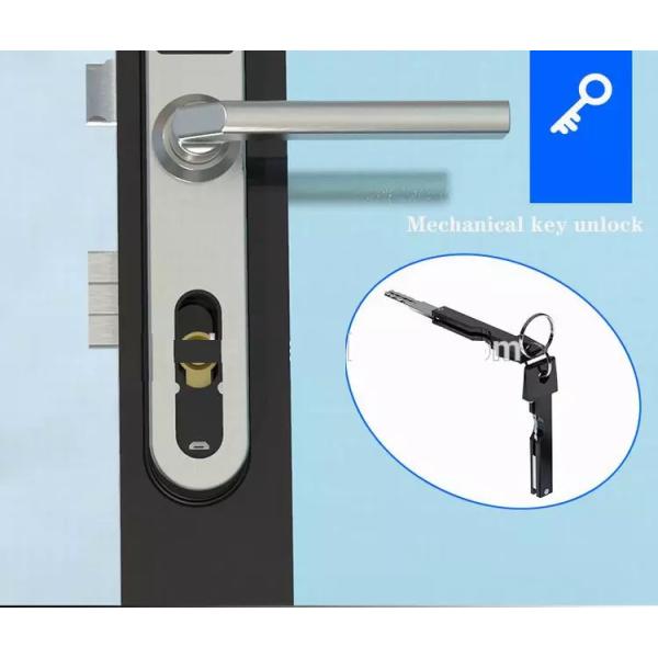 Password RF Card E6900W Aluminum Door Bluetooth Gate Locks