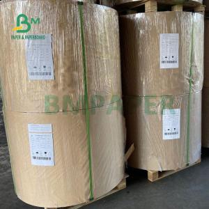 Quality 210gsm +15g PE Laminated Cardboard For Paper Cups Food Grade 882mm wholesale