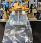 High Speed Side Push Automatic Case Packer Machine for Bulk Packaging 380V