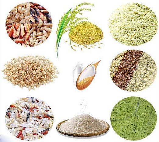 120 - 150kg Per Hour Artificial Rice Processing Line , Automatic Artificial Rice Extruder Machine ,