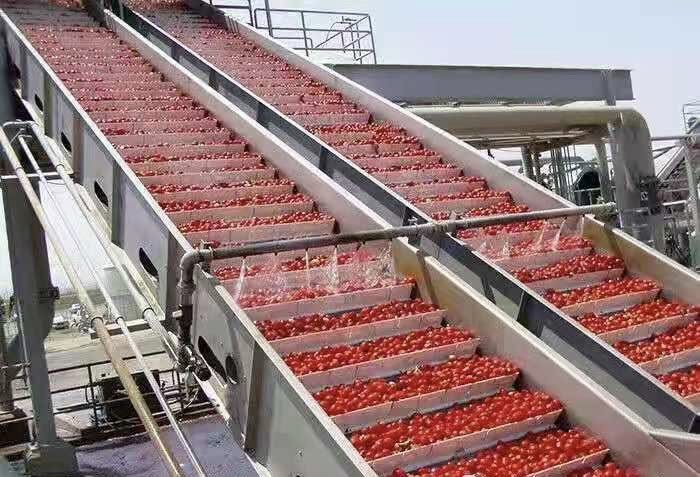 Complete Customized Strawberry Processing Line Blueberry/Strawberry/Raspberry