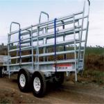 3.2 M Fixed Cattle Loading Ramp Portable Cattle Loading Ramp For Sheep Goats
