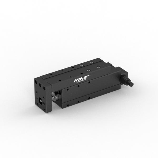 Cheap RobustMotion Electric Linear Actuator Allows for High Rigidity, High Precision for Pushing and Pressing for sale