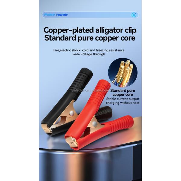 FCP Function 90% Charging Efficiency Battery Charger for 12V10A 24V5A Deep-Cycle Lead Acid Batteries