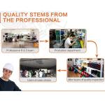 CSL Cross Hole Ultrasonic Monitor Non Destructive Testing Method