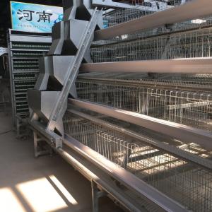Quality Automatic Egg Layer Chicken Cage Poultry Equipment For South Africa Farm wholesale