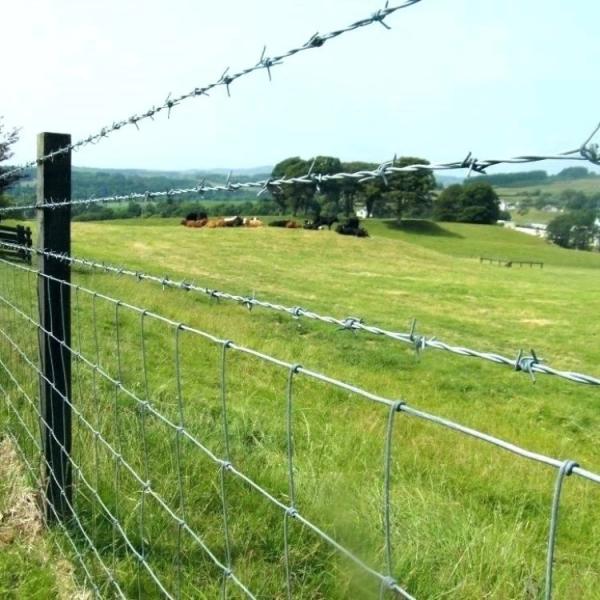 BWG12 BWG14 Fence Galvanized Barb Wire Roll