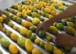 High Efficiency Mango Juice Processing Machine With Safety Protection Processing
