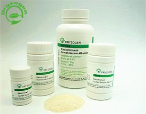 Quality Promote Cell Growth Recombinant Albumin Powder OsrHSA No stabilizer wholesale