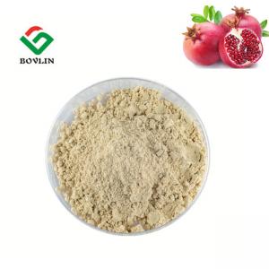 China Brown Yellow 40% Ellagic Acid Powder 80 Mesh Pomegranate Bark Powder on sale