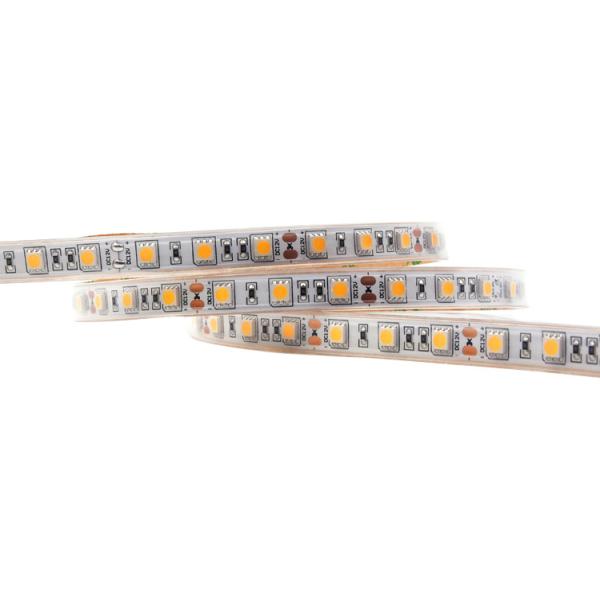 Waterproof 5050 Single Color LED Strip Lights 12V 24V Warm White Blue Green Outdoor IP65 IP68