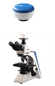 Quality Polarizing Microscope , Digital Optical Microscope LED / Halogen Transmitted Illumination wholesale