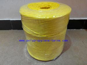 Quality 22500D Colorful Twisted Banana Hay Baling Twine Polypropylene String Free Sample wholesale