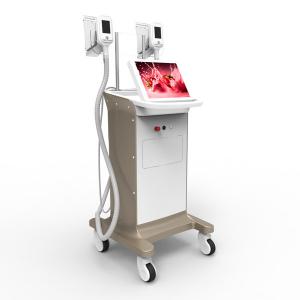 China 2016 factory directly sale 15 inch big color screen Cryolipolysis Machine Price on sale