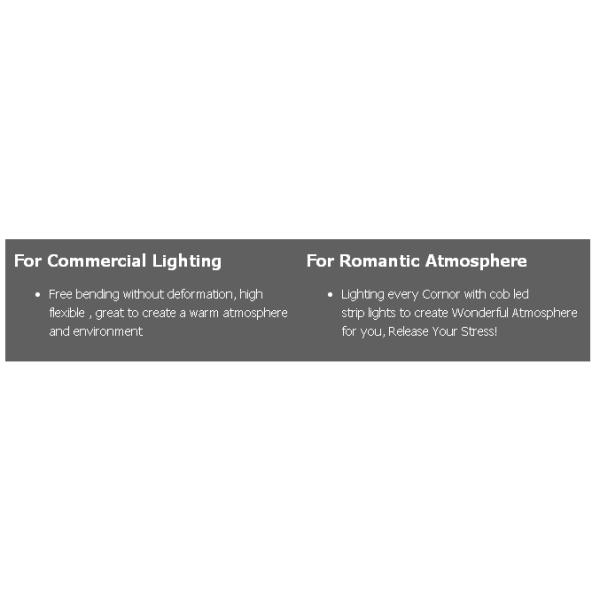 New Strip No Spots COB LED strip light good performance