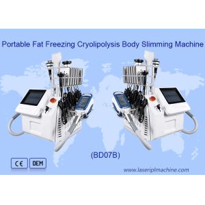 Portable 650nm Cryolipolysis Body Slimming Machine Fat Freezing 6 In1