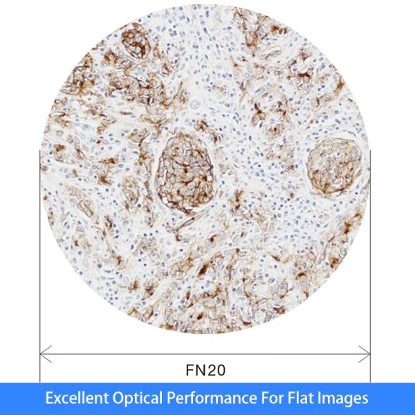 OPTO-EDU Olympus CX43 Laboratory Biological Microscope A12.0739 2.4W LED