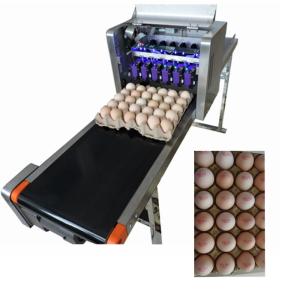 Quality Convenient Moving Egg Code Printing Machine With Personalized Integration Frame wholesale