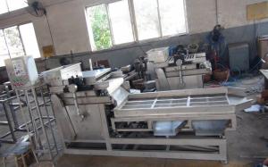 Quality Almond Peanut Chopping Machine , Automatic Nut Cracker Machine Low Noise wholesale