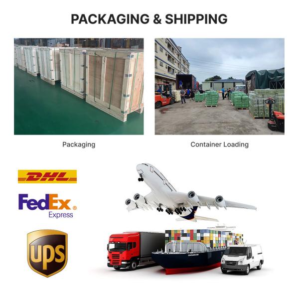 Walkie Electric Pallet Truck with Built-in Scale YTP-15A (C)