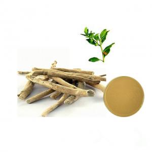 Quality Supply Natural Indian Ginseng Ashwagandha Extract 2.5% Withanolide wholesale