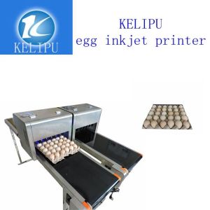 Quality Batch Number Egg Industrial Digital Printing Machines With High Efficient wholesale