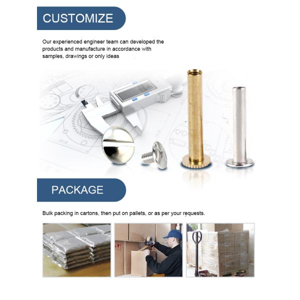 ISO9001 2015 Mini Chicago Screw M3 M4 M5 M6 M8 Flat Round Slotted Blind Head Male Female Screw