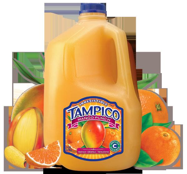 Cheap Mango Juice Making Machine Mango Processing Line Fully Automatic PLC Control for sale