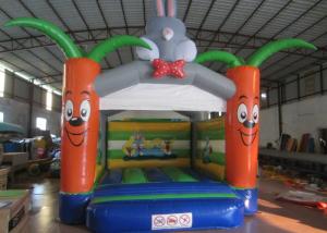Quality Bounce House With Slide 0.55mm Pvc Tarpaulin , Indoor Inflatable Bounce House wholesale