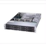Private Mold SuperStorage Server 12x 3.5" SAS3/SATA3 Bays 2x 10GbE Intel 4210