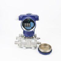 Quality Precision Flow &amp; Level: Measure Minute Pressure Differences for Ultimate Process Control &amp; Efficiency. wholesale