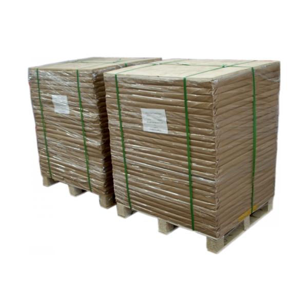 Gloss Paper For Adhesive Sticker Converting Clay Coated Paper Strong Strength