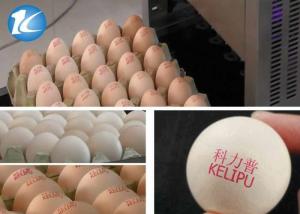 Quality Touch Screen Egg Code Printing Machine / Ink Jet Printer u Disk Loading wholesale