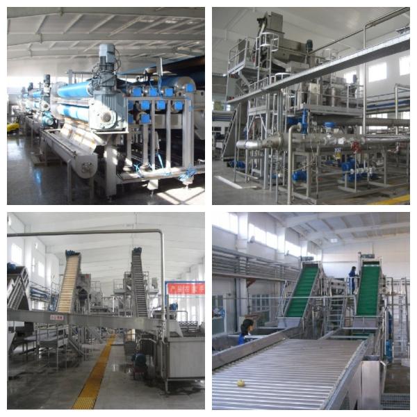 0.5-20MT/H Fruit Apple Concentrated Juice Production Line For Beverage Production Enterprise