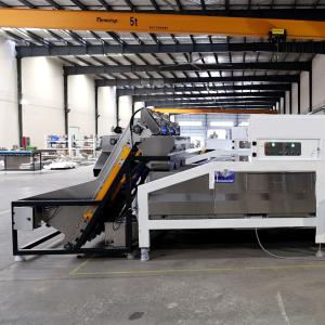 Quality In Shell Macadamia Nuts Sorting Machine Accurate Grading Sizing Simultaneously wholesale