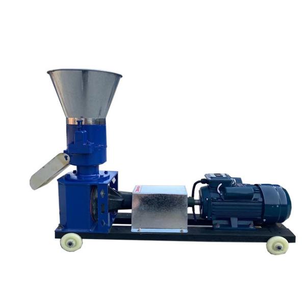 Flour Processing Feed Pellet Machine for All Kinds of Grain and Wood DY120 Model 120-300KG/H Capacity