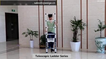 Cheap Retractable 14 Step 4.1m Aluminum Telescoping Ladder for sale