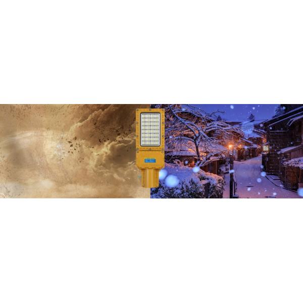 IP66 IP67 LED Explosion Proof Street Light With Dustproof EX IECEX IK10 30W 50W 60W 80W 100W