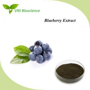 Quality Natural Blueberry Extract Powder Supplement Anti Aging Vaccinium Spp wholesale