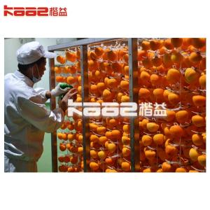 Turnkey dried persimmon processing line dried persimmon turnkey project