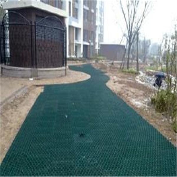 38mm 48mm 70mm Grass Paver Grids for Driveway and Parking Lot Construction Solutions