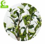 150cm Durable Artificial Ficus Tree . Artificial Camellia Tree With White Flower