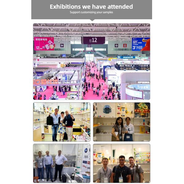 Custom circular gear Knob Embedded Universal Racing Crystal Ball Dandelion real Flower Shift Knob