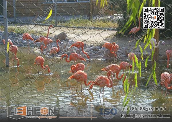 bird net China Zoo Mesh Factory