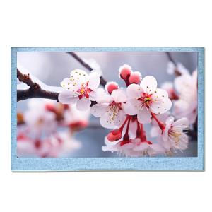 Quality 4.3 Inch TFT In Plane Switching LCD Display With RGB Interface wholesale